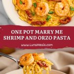 One Pot Marry Me Shrimp and Orzo Pasta