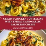 Creamy Chicken Tortellini with Spinach and Garlic Parmesan Cheese Pin