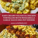 Easy Creamy Velveeta Chicken Tortellini with Mozzarella Garlic Sauce One-Pot Dinner Pin