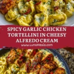 Spicy Garlic Chicken Tortellini in Cheesy Alfredo Cream Pin
