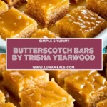 Butterscotch Bars by Trisha Yearwood Pin 1
