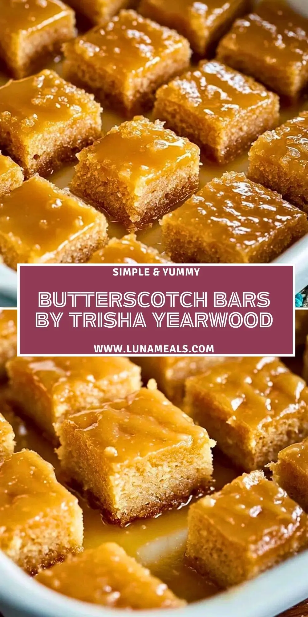 Butterscotch Bars by Trisha Yearwood Pin 1