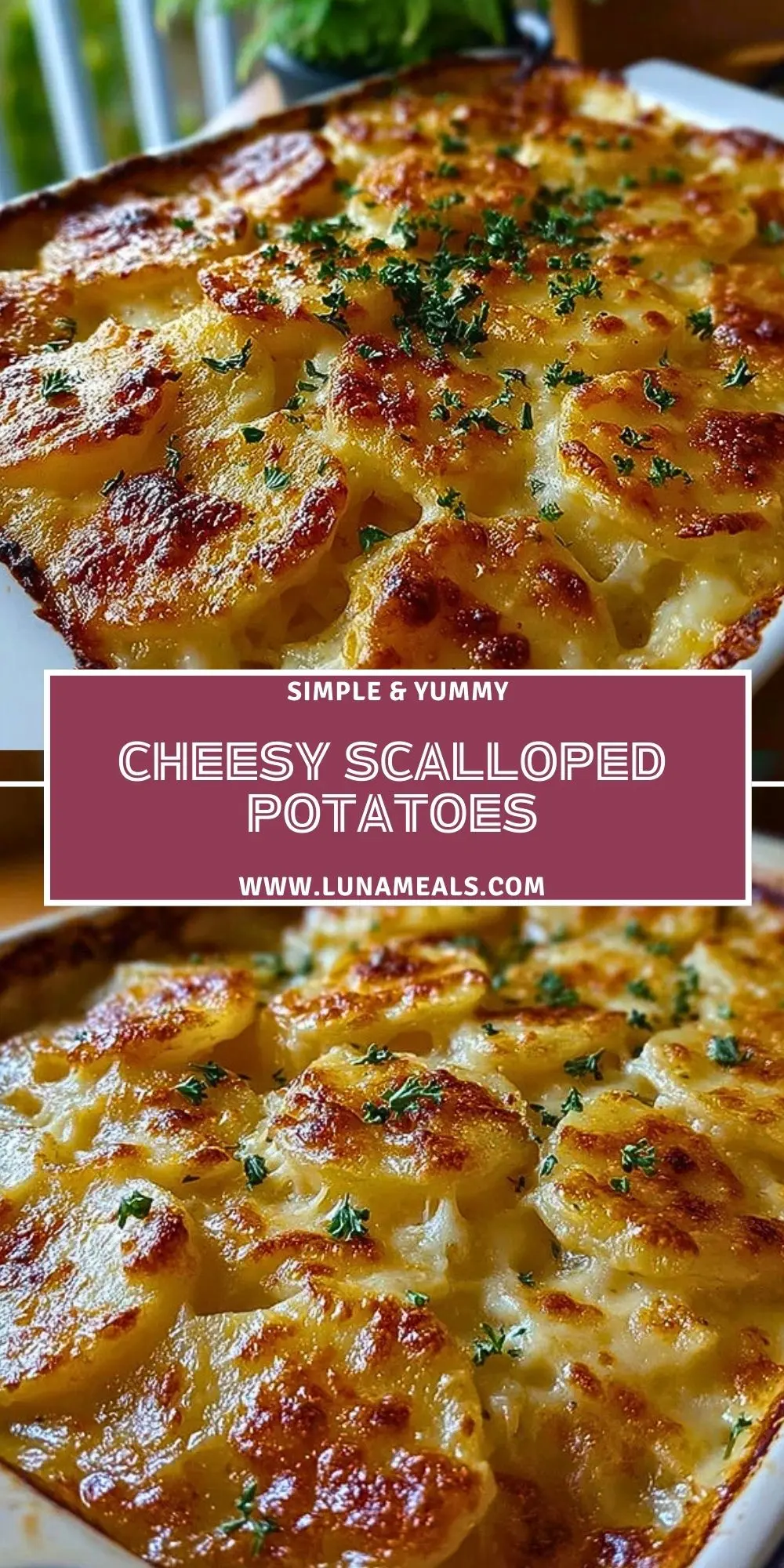 Cheesy Scalloped Potatoes Pin 1