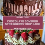 Chocolate Covered Strawberry Drip Cake Pin 1