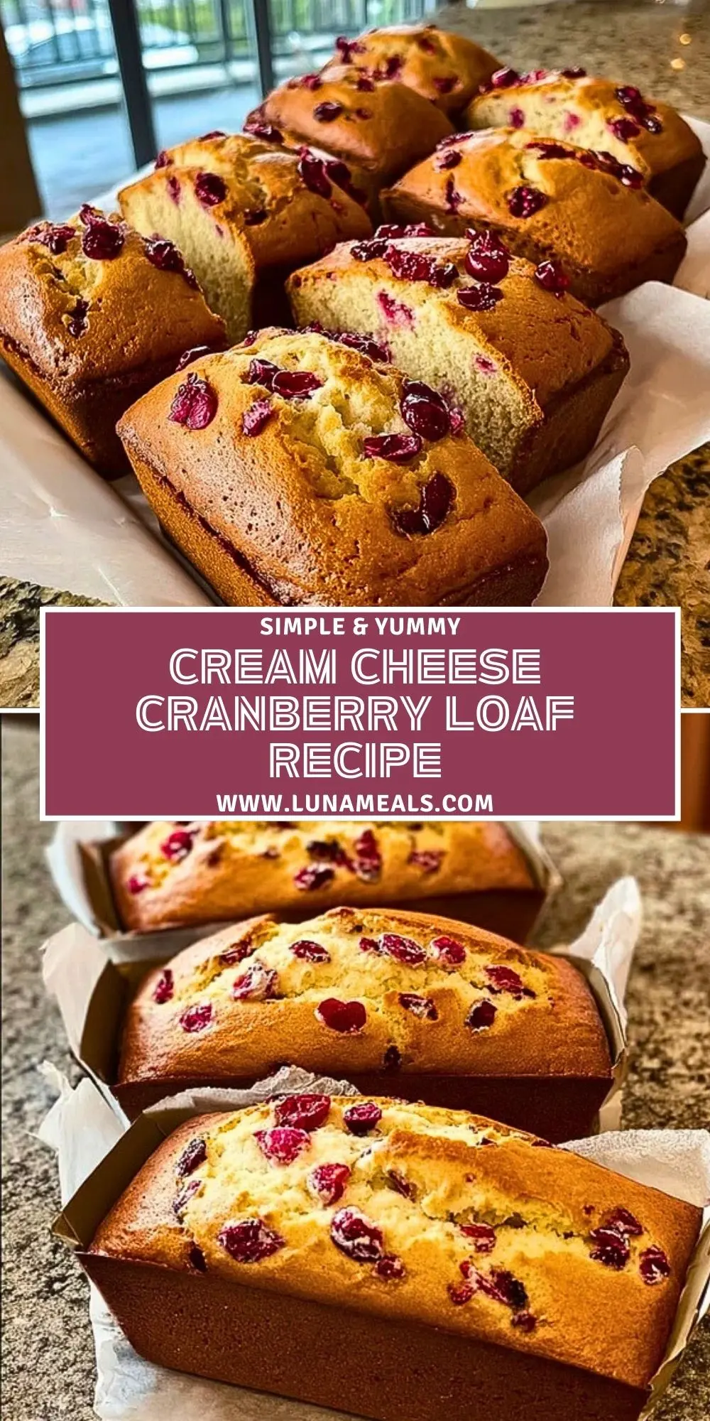 Cream Cheese Cranberry Loaf Recipe Pin 1