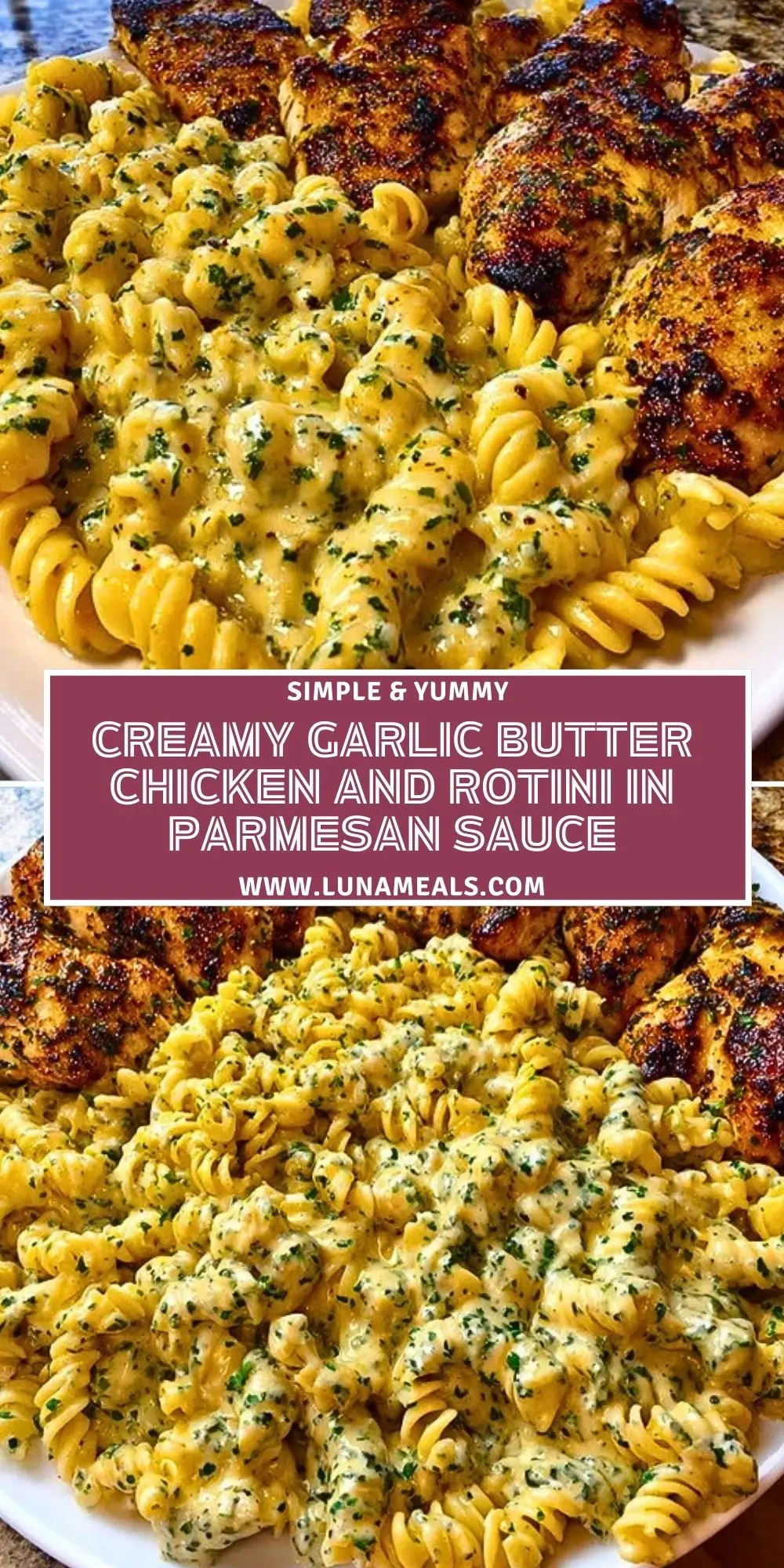 Creamy Garlic Butter Chicken and Rotini in Parmesan Sauce Pin 1