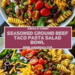 Seasoned Ground Beef Taco Pasta Salad Bowl Pin 1