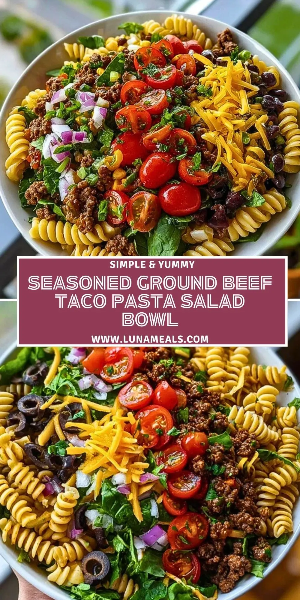 Seasoned Ground Beef Taco Pasta Salad Bowl Pin 1