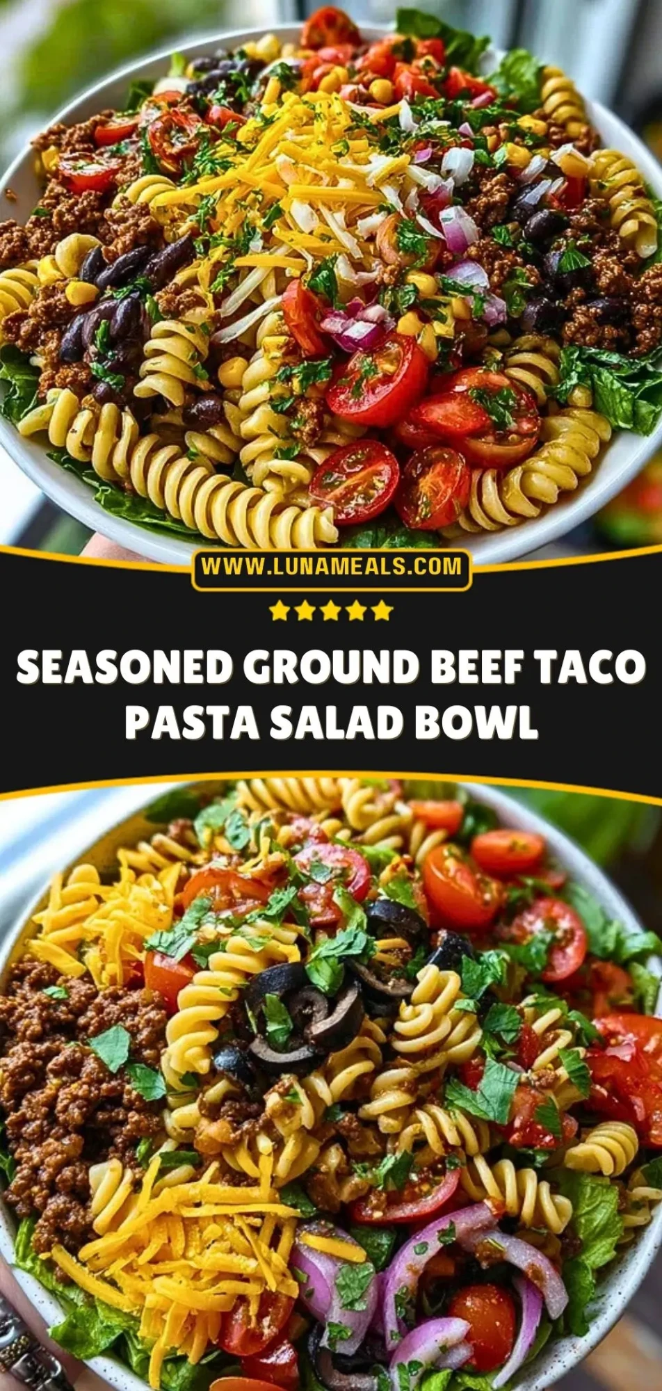 Seasoned Ground Beef Taco Pasta Salad Bowl Pin 2