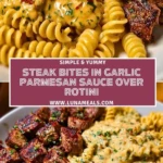Steak Bites in Garlic Parmesan Sauce over Rotini Pin 1