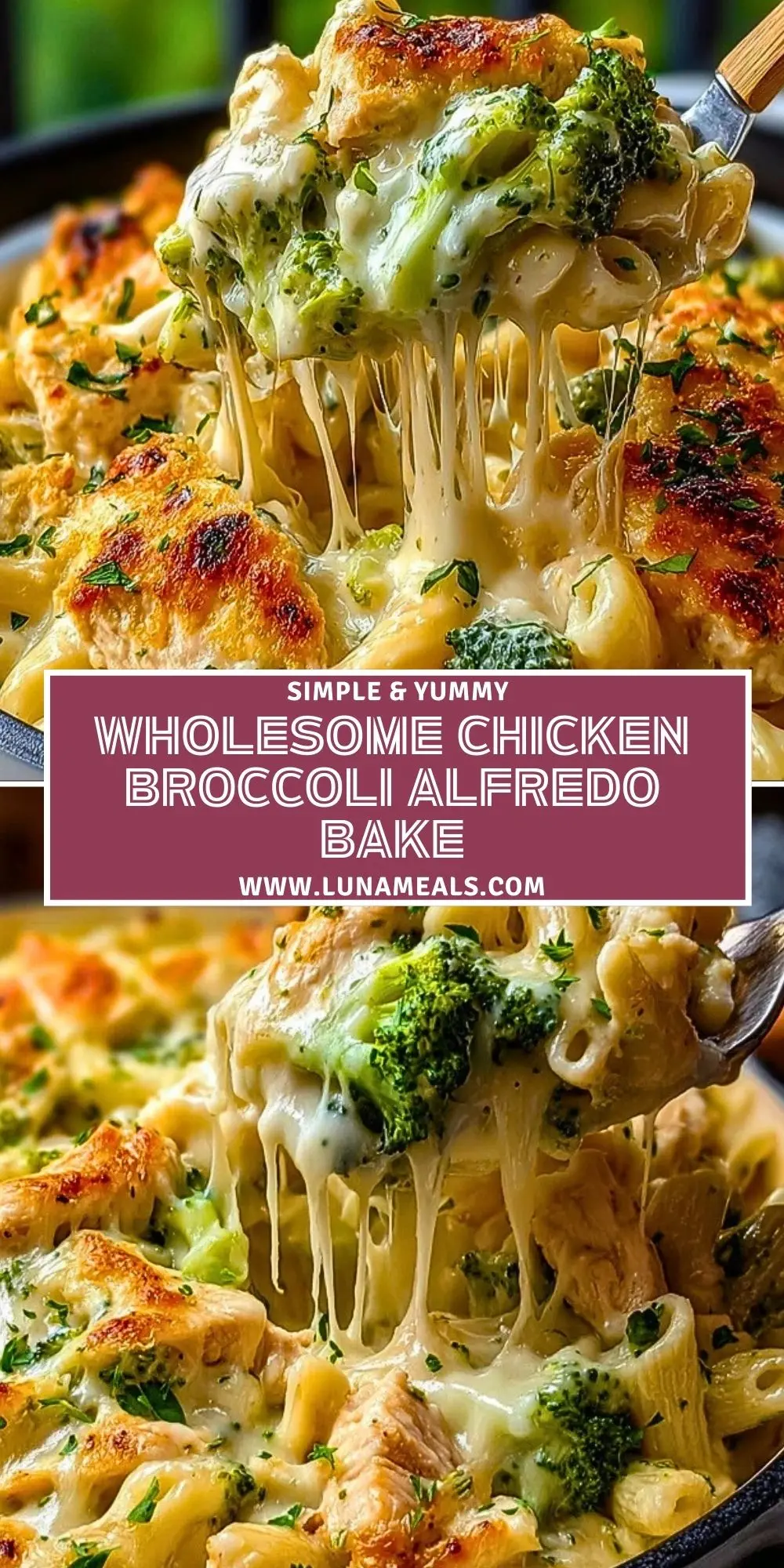 Wholesome Chicken Broccoli Alfredo Bake Pin 1
