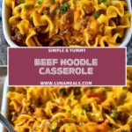 Beef Noodle Casserole Pin 1
