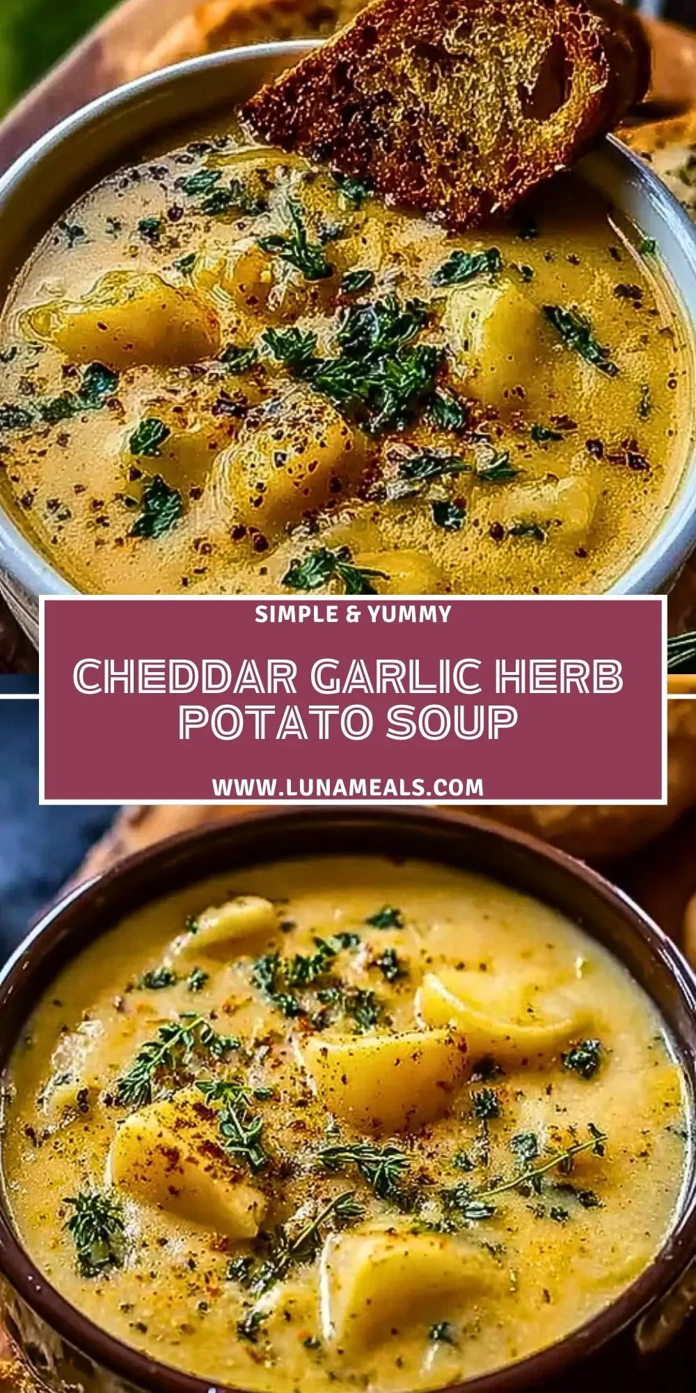 Cheddar Garlic Herb Potato Soup Pin 1