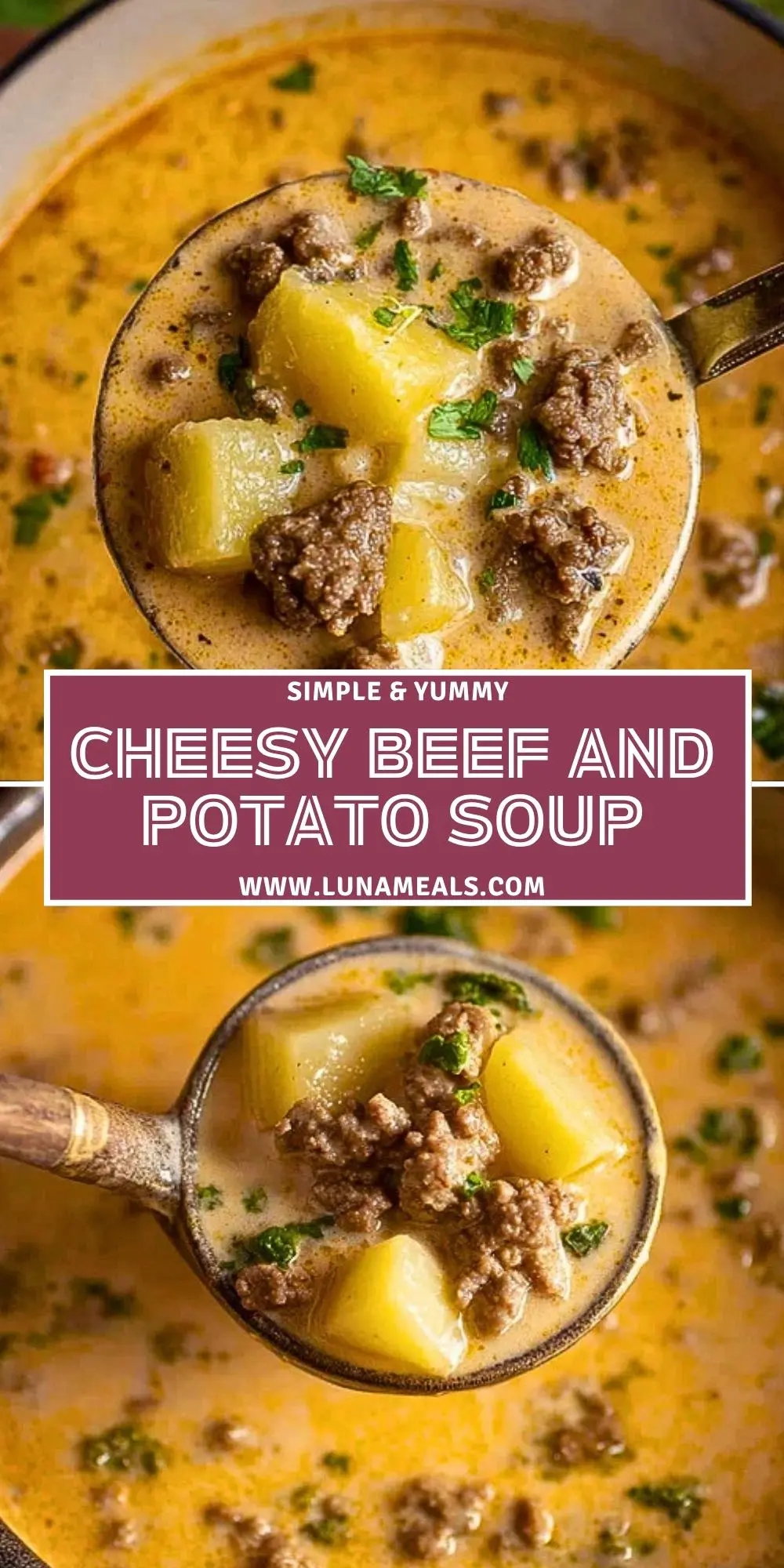 Cheesy Beef and Potato Soup Pin 1