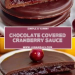 Chocolate Covered Cranberry Sauce Pin 1
