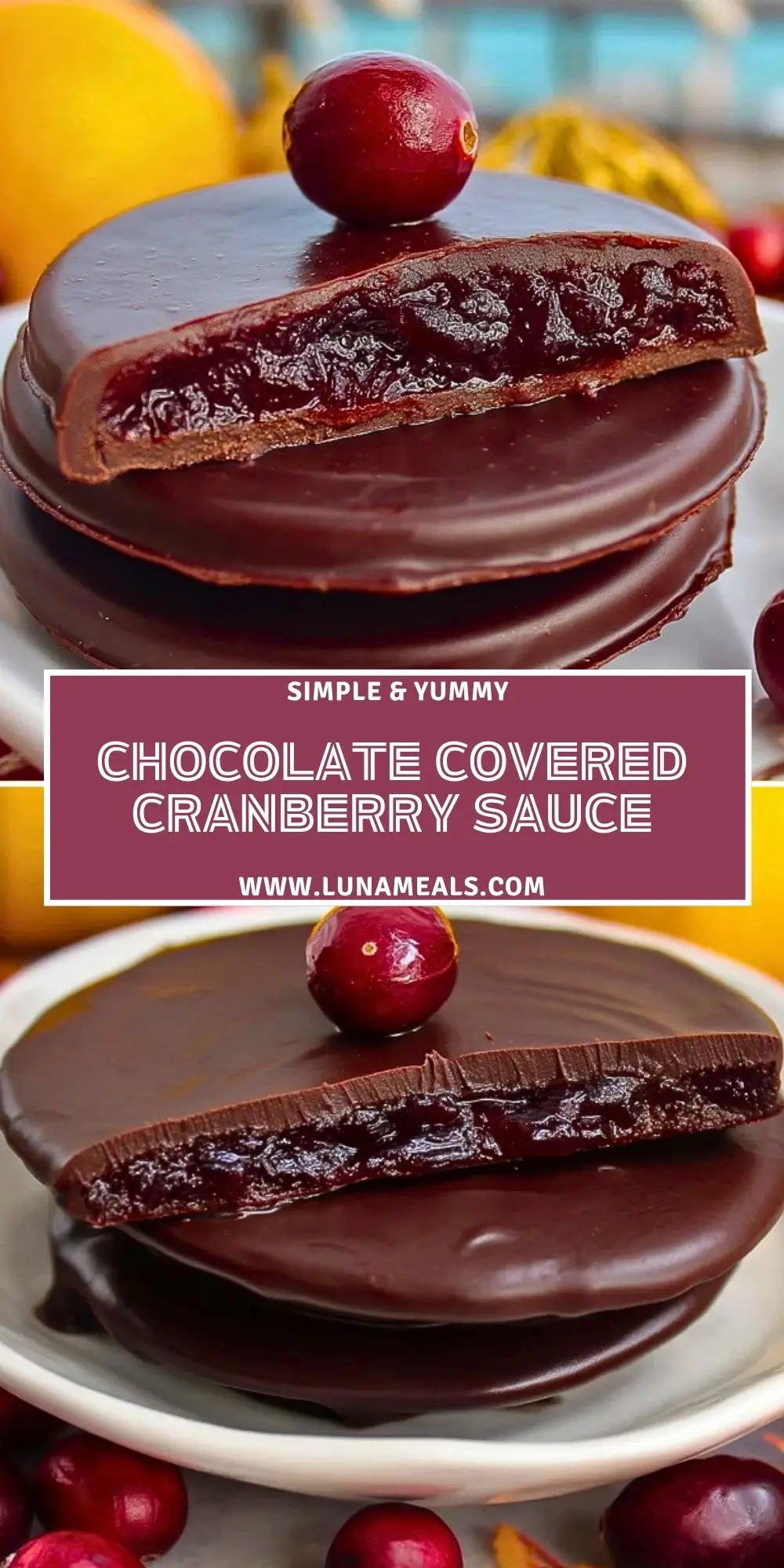 Chocolate Covered Cranberry Sauce Pin 1