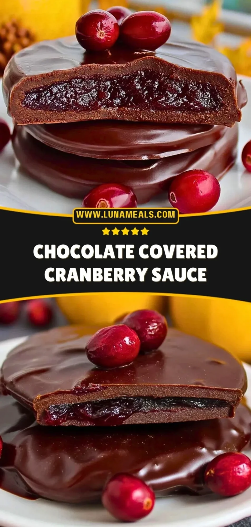 Chocolate Covered Cranberry Sauce Pin 2