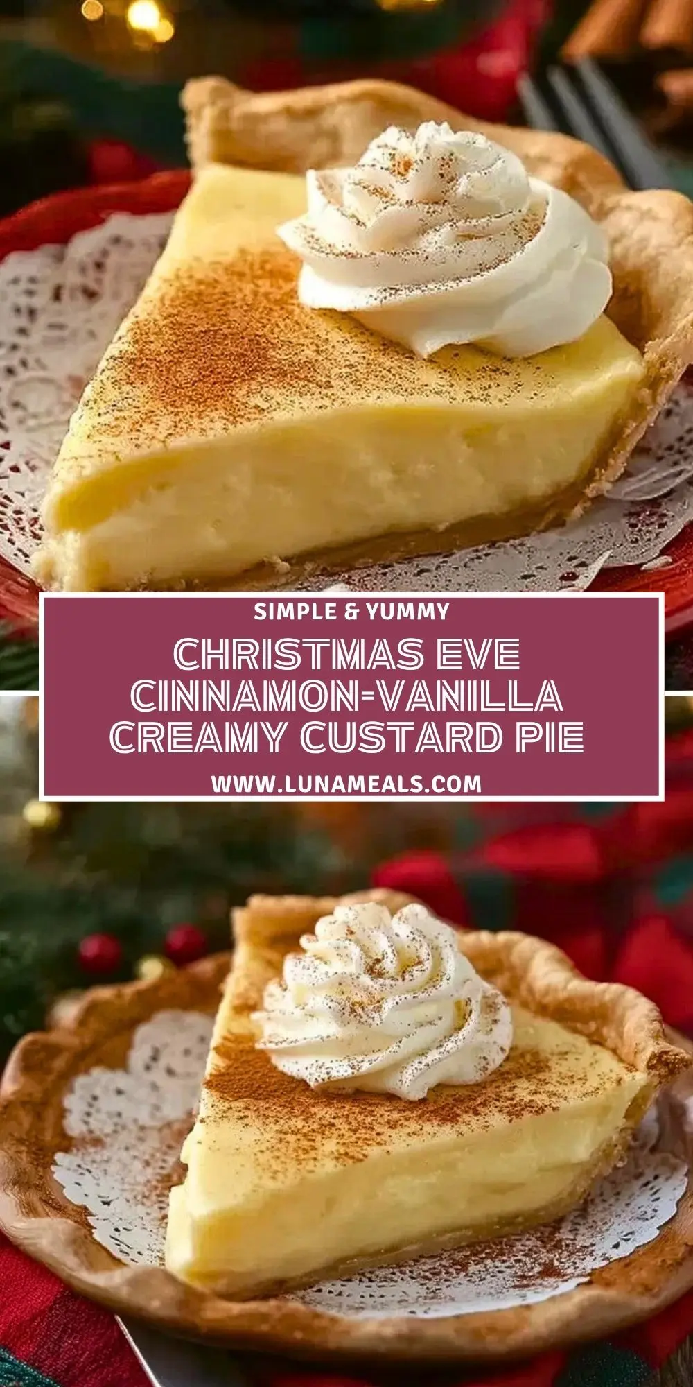 Christmas Eve Cinnamon-Vanilla Creamy Custard Pie (2)