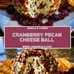 Cranberry Pecan Cheese Ball (2)