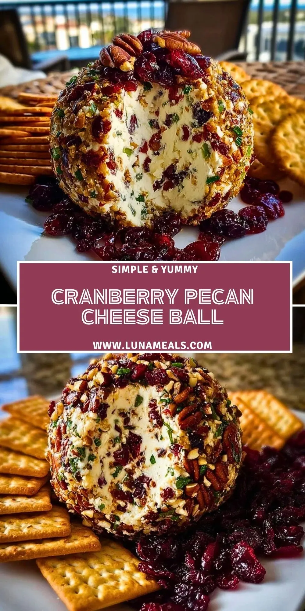 Cranberry Pecan Cheese Ball (2)