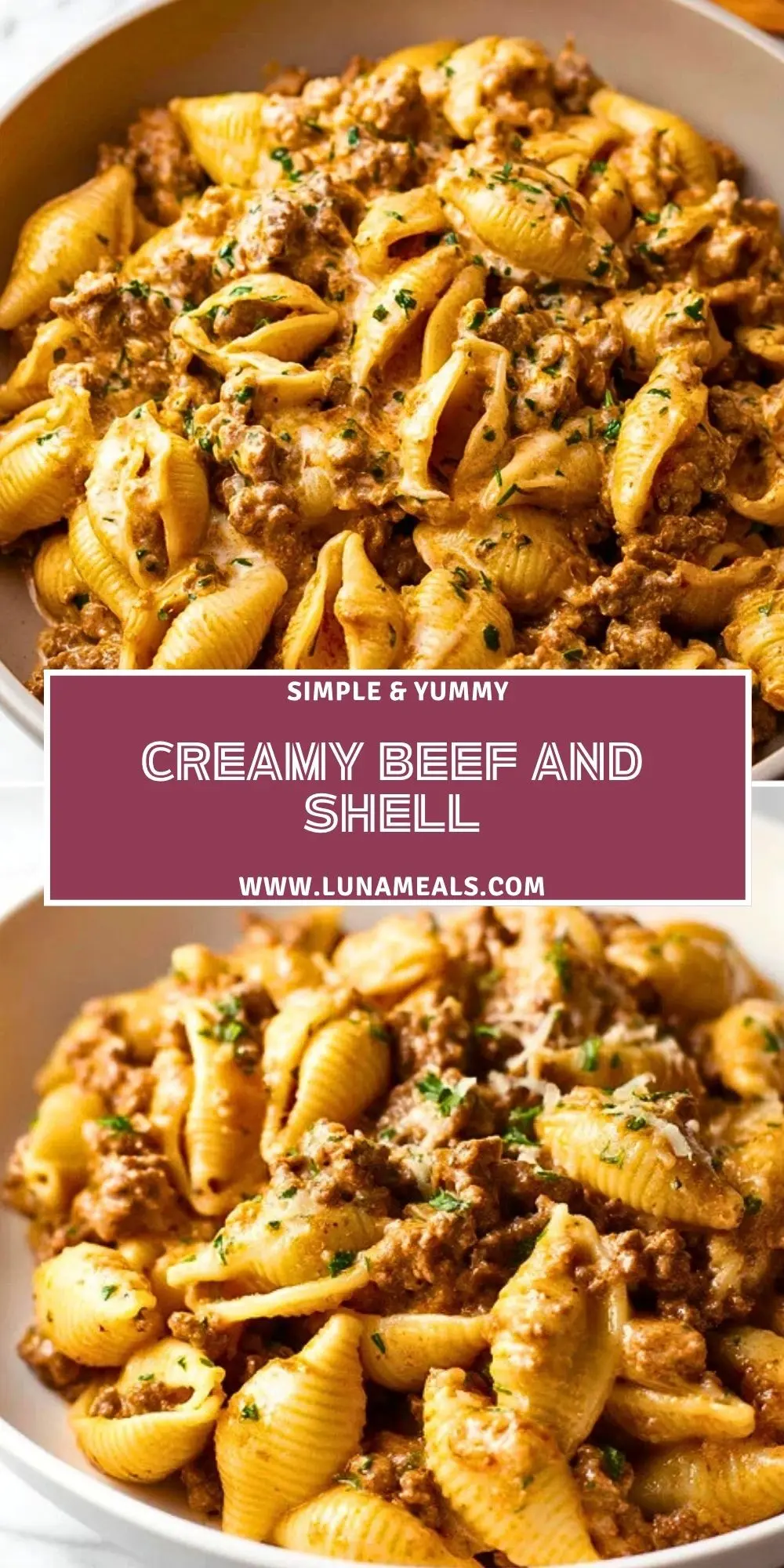Creamy Beef and Shell Pin 1