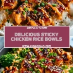 Delicious Sticky Chicken Rice Bowls Pin 1 (1)