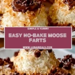 Easy No-Bake Moose Farts Pin 1