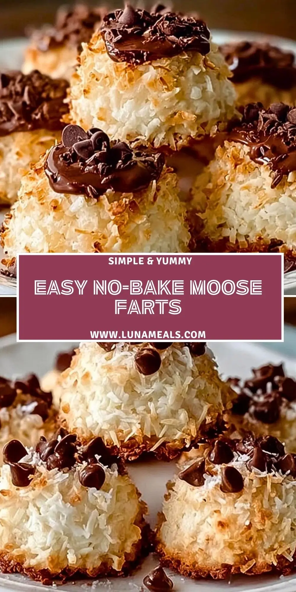 Easy No-Bake Moose Farts Pin 1