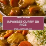 Japanese Curry on Rice Pin 1