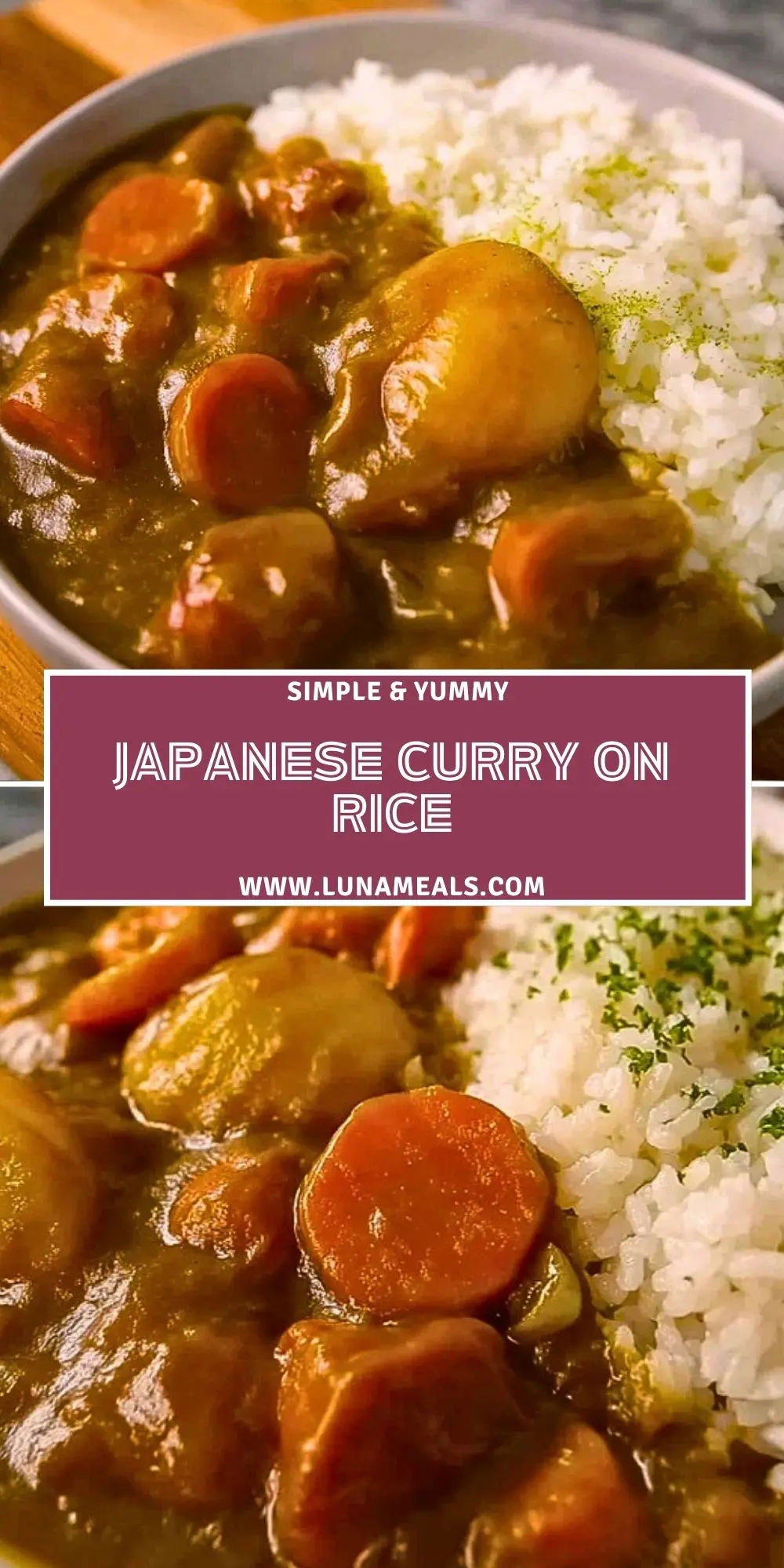 Japanese Curry on Rice Pin 1