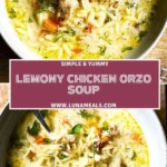 Lemony Chicken Orzo Soup (2)
