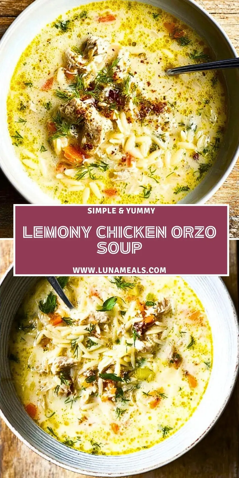 Lemony Chicken Orzo Soup (2)