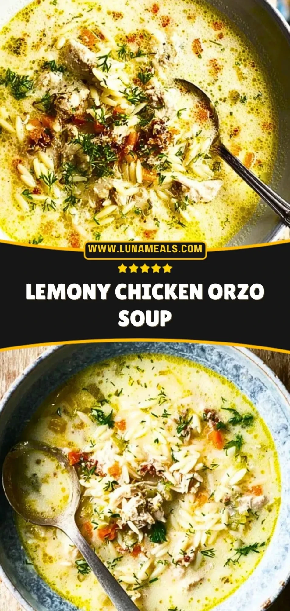 Lemony Chicken Orzo Soup (3)