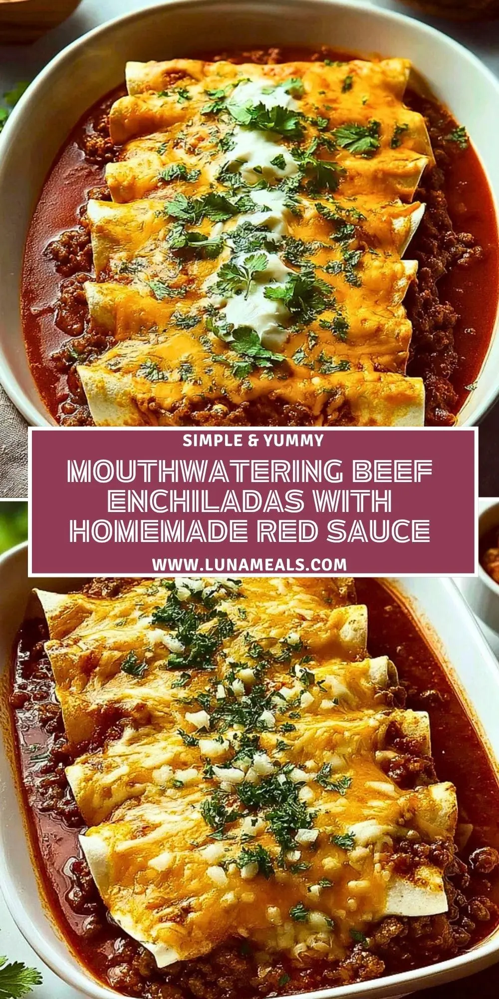Mouthwatering Beef Enchiladas with Homemade Red Sauce (2)