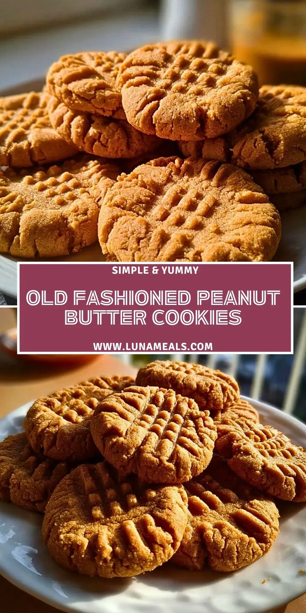 Old Fashioned Peanut Butter Cookies (2)