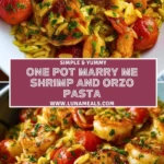 One Pot Marry Me Shrimp and Orzo Pasta (2)