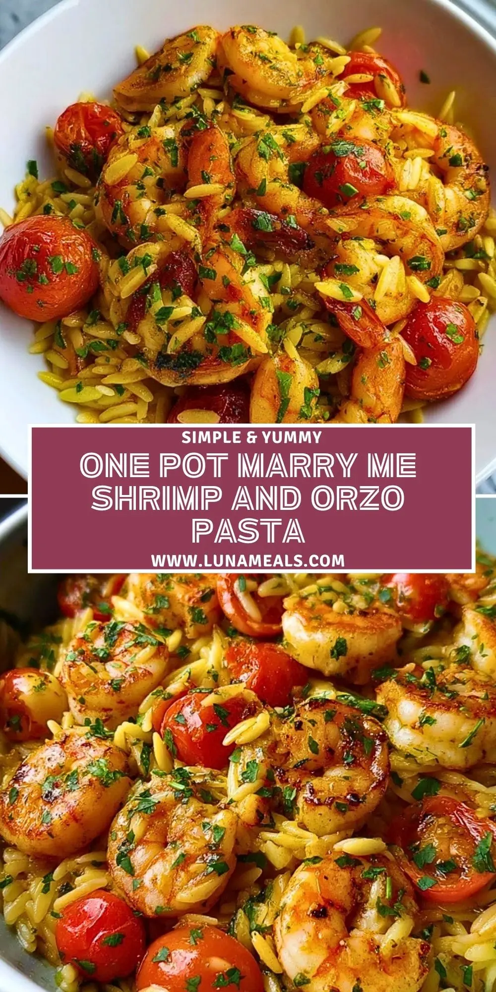 One Pot Marry Me Shrimp and Orzo Pasta (2)