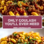 Only Goulash You'll Ever Need Pin 1