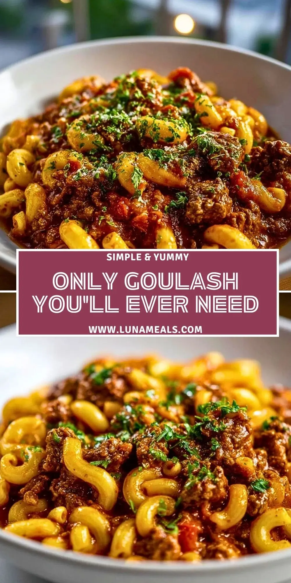 Only Goulash You'll Ever Need Pin 1