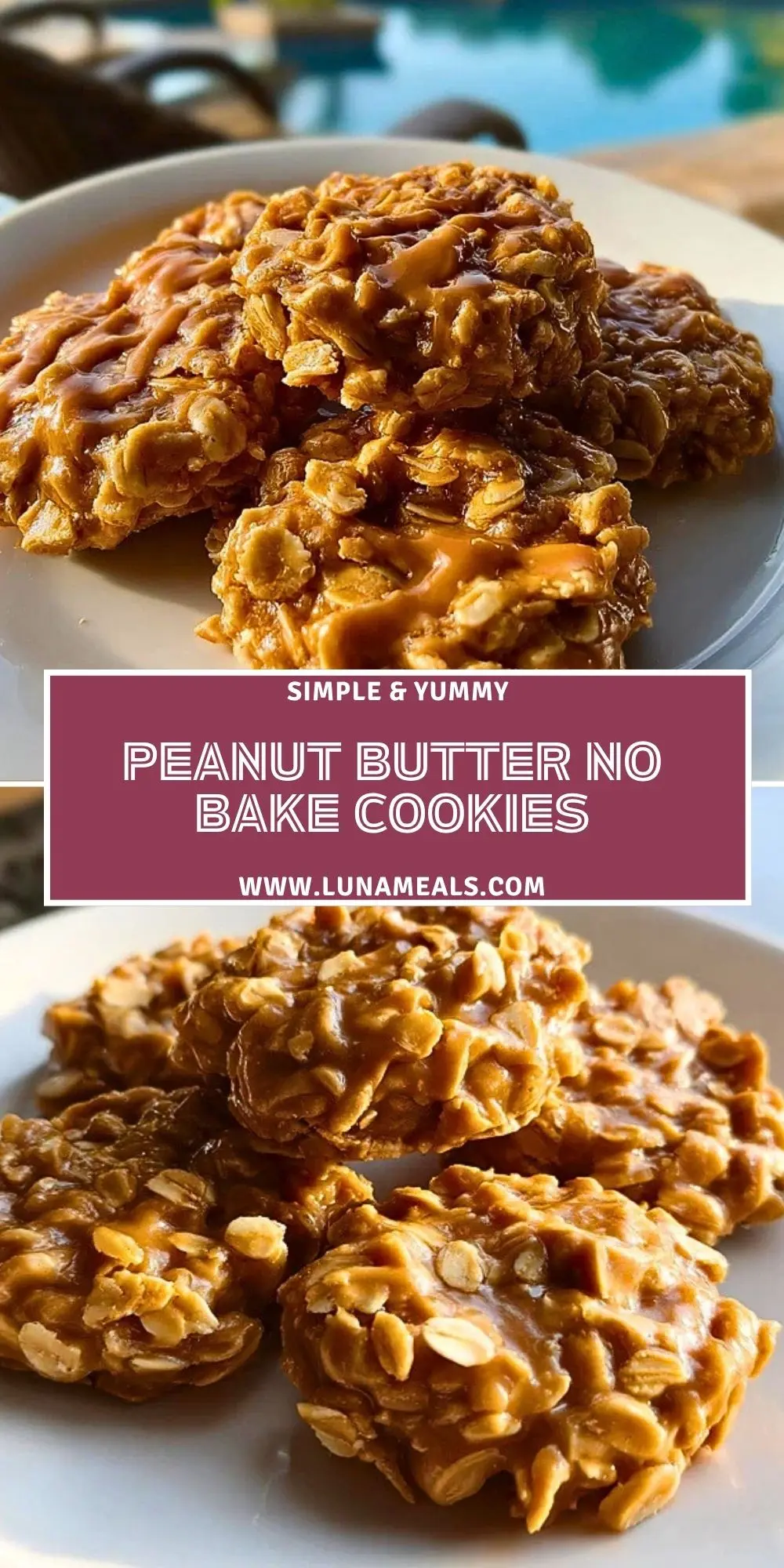 Peanut Butter No Bake Cookies (2)