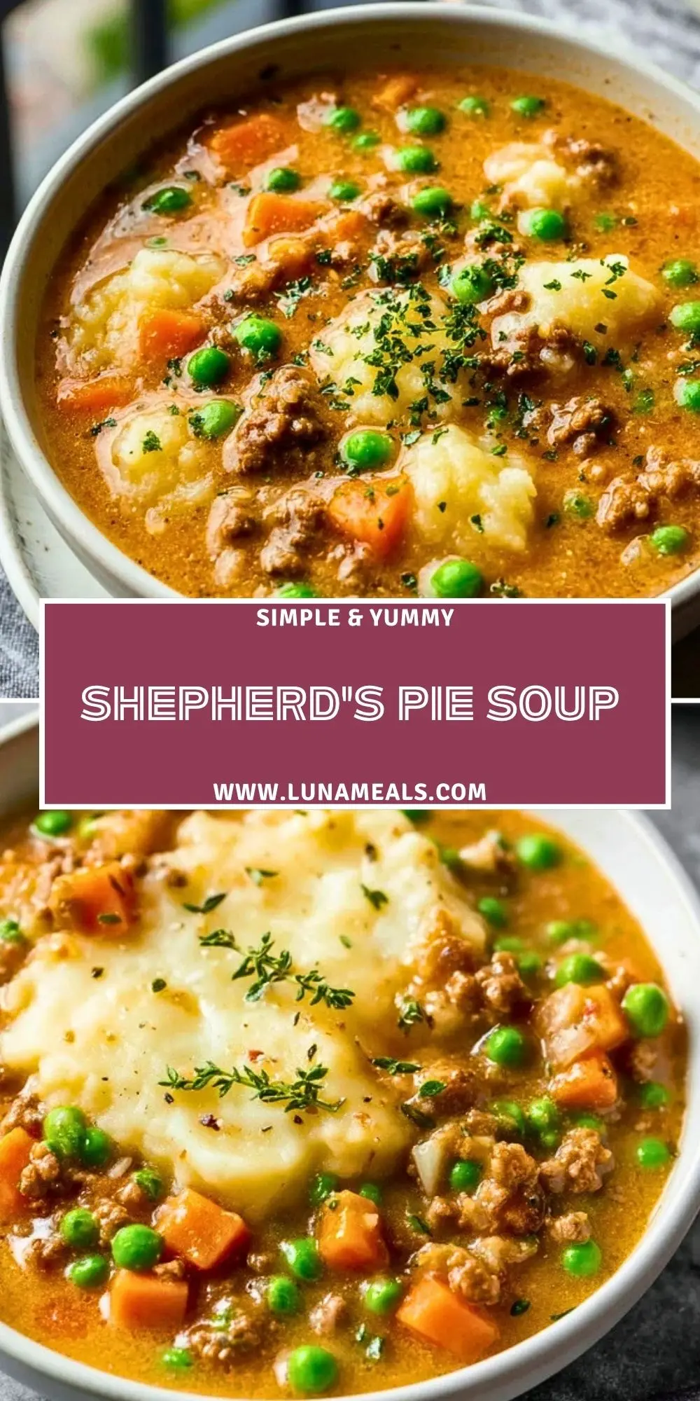 Shepherd's Pie Soup Pin 1