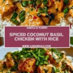 Spiced Coconut Basil Chicken with Rice (2)