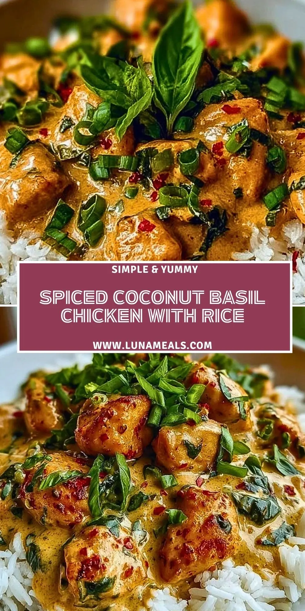 Spiced Coconut Basil Chicken with Rice (2)