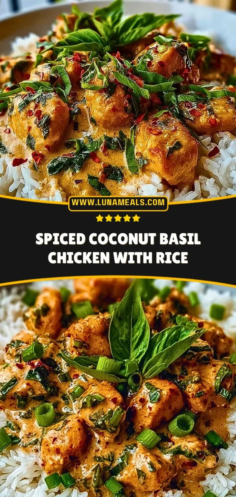 Spiced Coconut Basil Chicken with Rice (3)