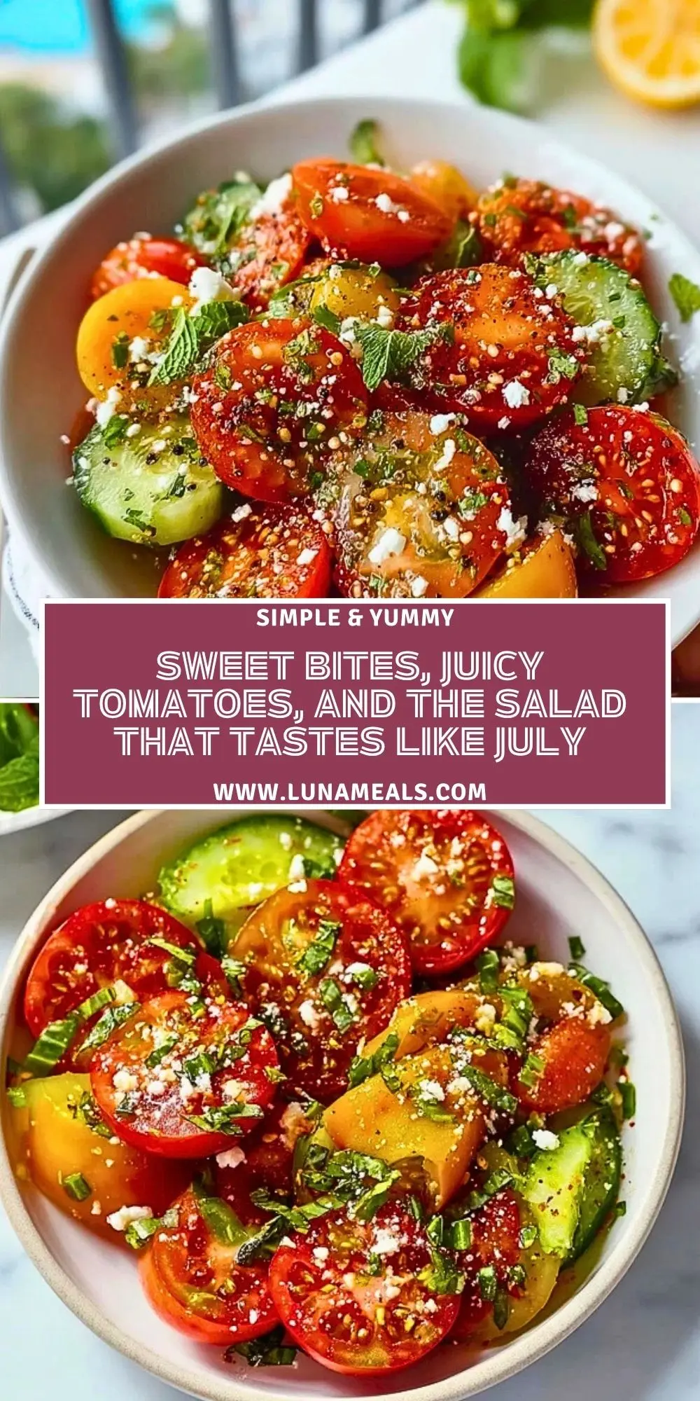 Sweet Bites, Juicy Tomatoes, and the Salad That Tastes Like July Pin 1 (1)