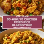 30-Minute Chicken Fried Rice Blackstone (2)
