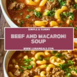 Beef and Macaroni Soup (2)