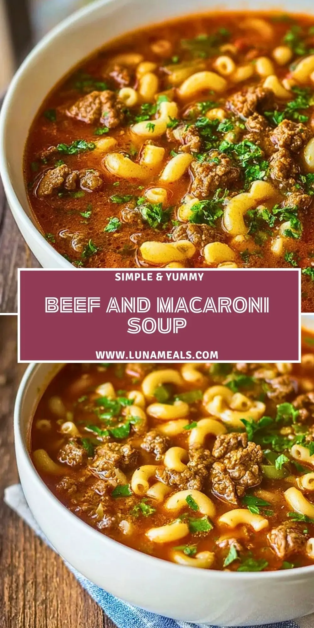 Beef and Macaroni Soup (2)