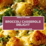 Broccoli Casserole Delight (2)