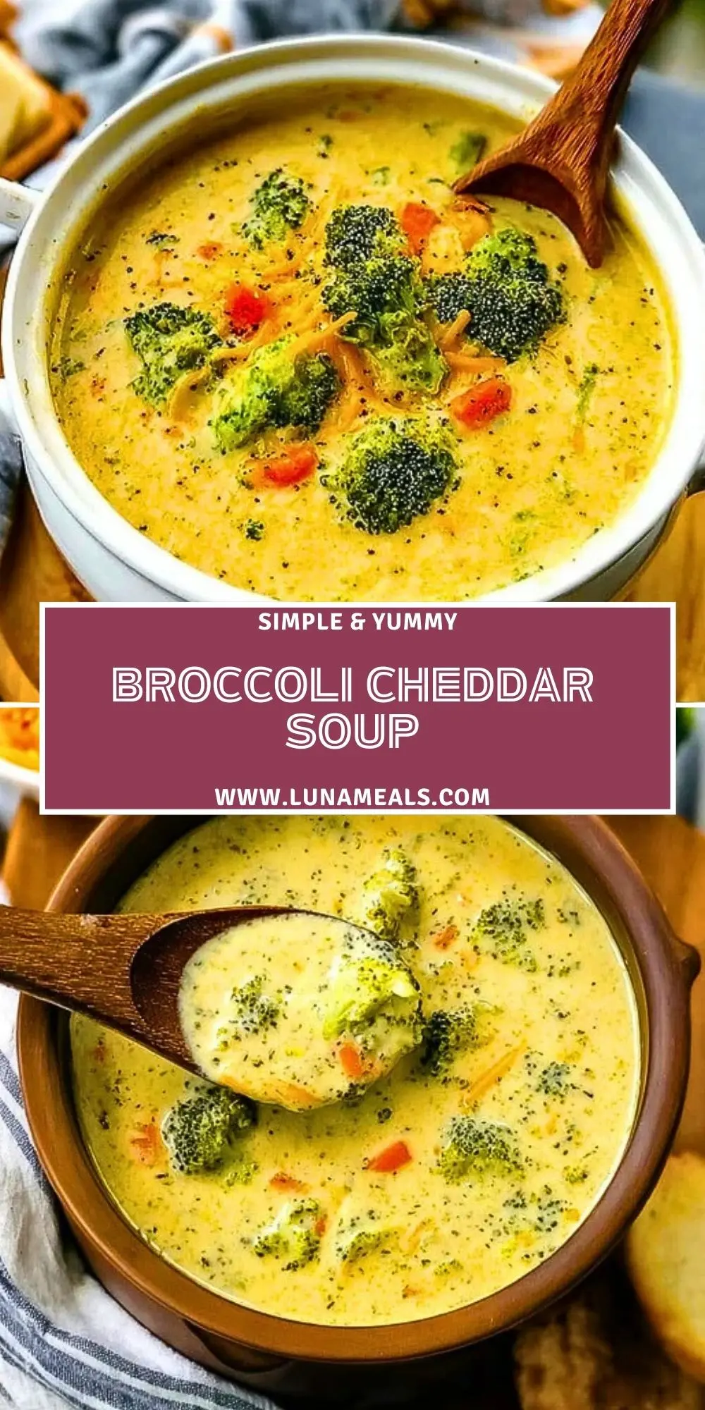 Broccoli Cheddar Soup (2)
